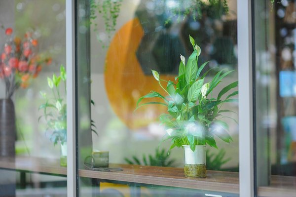 L'Art du Metteur en Scène : Maître d'Orchestre du Théâtre